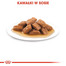 ROYAL CANIN MEDIUM AGEING 10+ Nassfutter für ältere mittelgroße Hunde 140 g