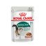 ROYAL CANIN INSTINCTIVE 7+ Nassfutter in Soße für ältere Katzen 12 x 85 g