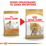 ROYAL CANIN Poodle Adult Hundefutter trocken für Pudel 3 kg