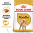 ROYAL CANIN Poodle Adult Hundefutter trocken für Pudel  0,5 kg
