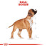 ROYAL CANIN Boxer Puppy Welpenfutter trocken 3 kg