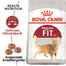 ROYAL CANIN FIT Trockenfutter für aktive Katzen 20 kg (2 x 10 kg)