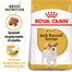 ROYAL CANIN Jack Russell Terrier Adult Hundefutter trocken 15 kg (2 x 7.5 kg)