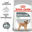 ROYAL CANIN DENTAL CARE MINI Trockenfutter für kleine Hunde mit empfindlichen Zähnen 16 kg (2 x 8 kg)