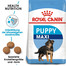 ROYAL CANIN MAXI Puppy Welpenfutter trocken für große Hunde 30kg ( 2 x 15kg)