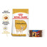ROYAL CANIN Chihuahua Adult Hundefutter trocken 3 kg  + TRIXIE Hundeschokolade Mini