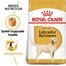 ROYAL CANIN Labrador Retriever Adult Hundefutter trocken 24 kg (2 x 12 kg)