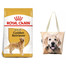 ROYAL CANIN Golden Retriever Adult Hundefutter trocken 12 kg  + Klassische Einkaufstasche mit dem Golden Retriever