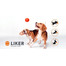 LIKER Dog toy Hundeball 7 cm