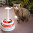 FERPLAST Tornado Katzenspielzeug in Form eines Kreisels