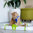 FERPLAST Turbine Lustiges Spiel für Katzen