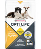 VERSELE-LAGA Puppy Medium 12,5 kg
