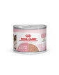 ROYAL CANIN MOTHER & BABYCAT Mousse für tragende Katzen und Kitten 195 g