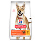 HILL'S Canine Adult Performance 14 kg
