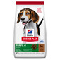 HILL'S Science Plan Puppy <1 Medium breed Trockenfutter mit Reis und Lammfleisch 14 kg
