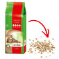 Cat's Best Original Katzenstreu Klumpstreu pflanzlich klumpend mit maximaler Saugkraft staubarm 40 L