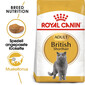 ROYAL CANIN British Shorthair Katzenfutter trocken für Britisch Kurzhaar 2 kg