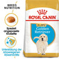ROYAL CANIN Golden Retriever Puppy Welpenfutter trocken 1 kg
