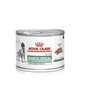 ROYAL CANIN DIABETIC SPECIAL LOW CARBOHYDRATE CANINE  195 g
